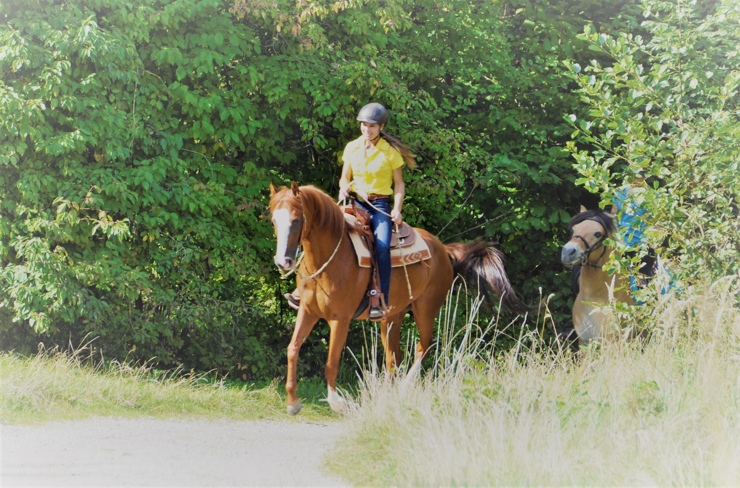 Junge Person reitet auf einem Pferd im Grünen, entspannter Ausflug bei Aldiana