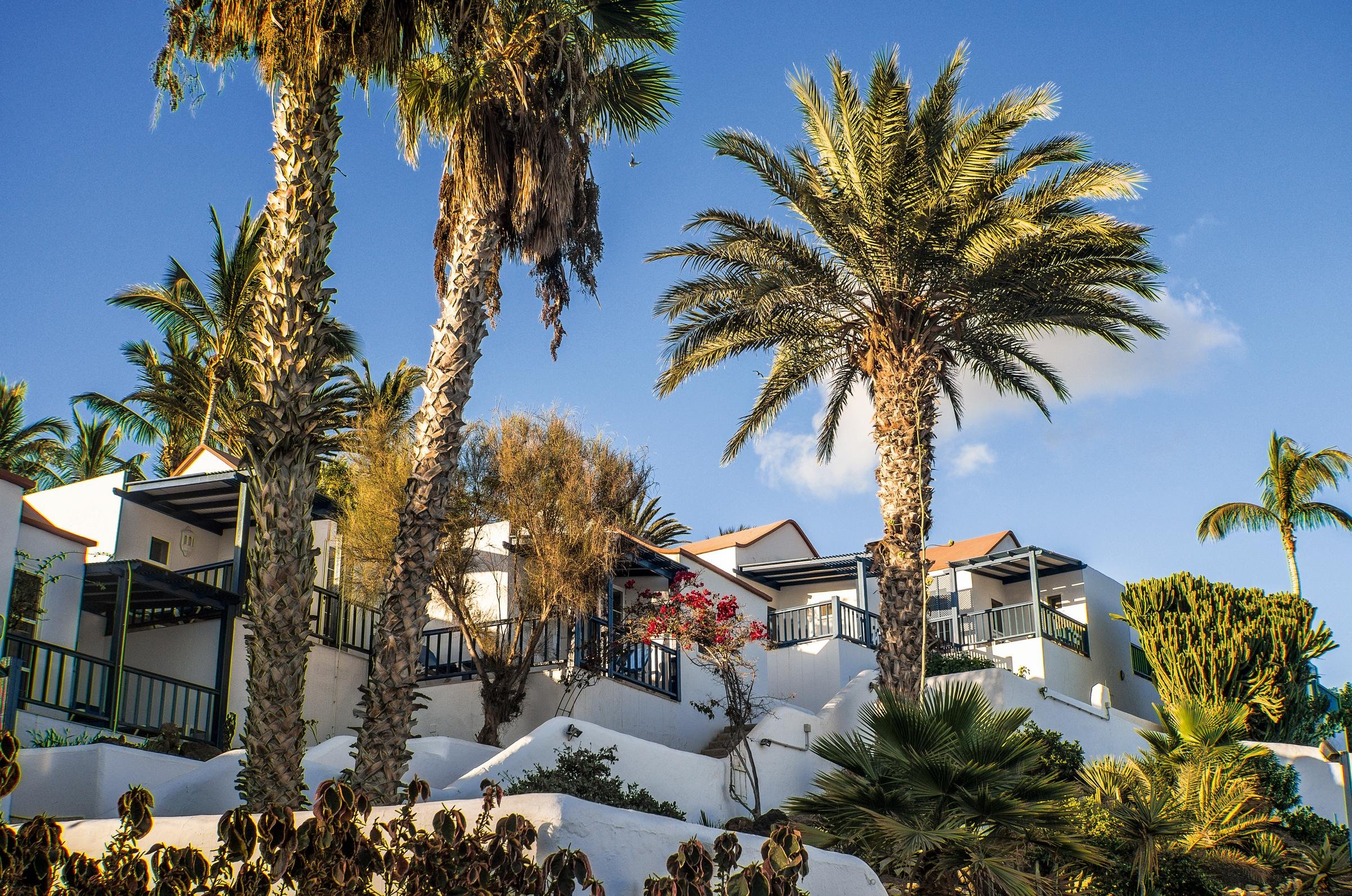 Blick auf elegante Aldiana Ferienanlage mit Palmen und weißem Gebäude im Urlaubsambiente