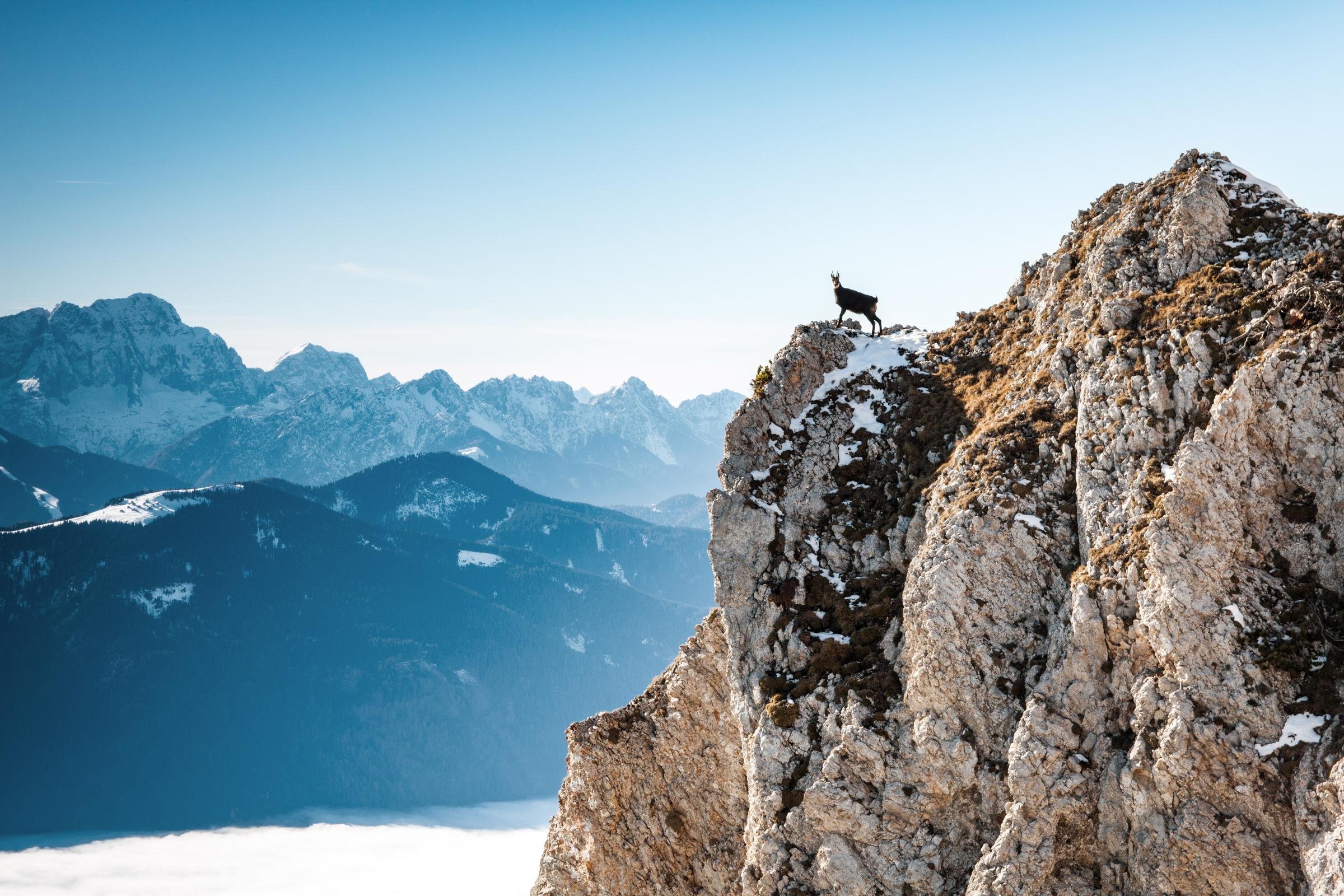Bergsteiger auf Felsvorsprung mit Blick auf beeindruckende Berglandschaft, Premium Cluburlaub