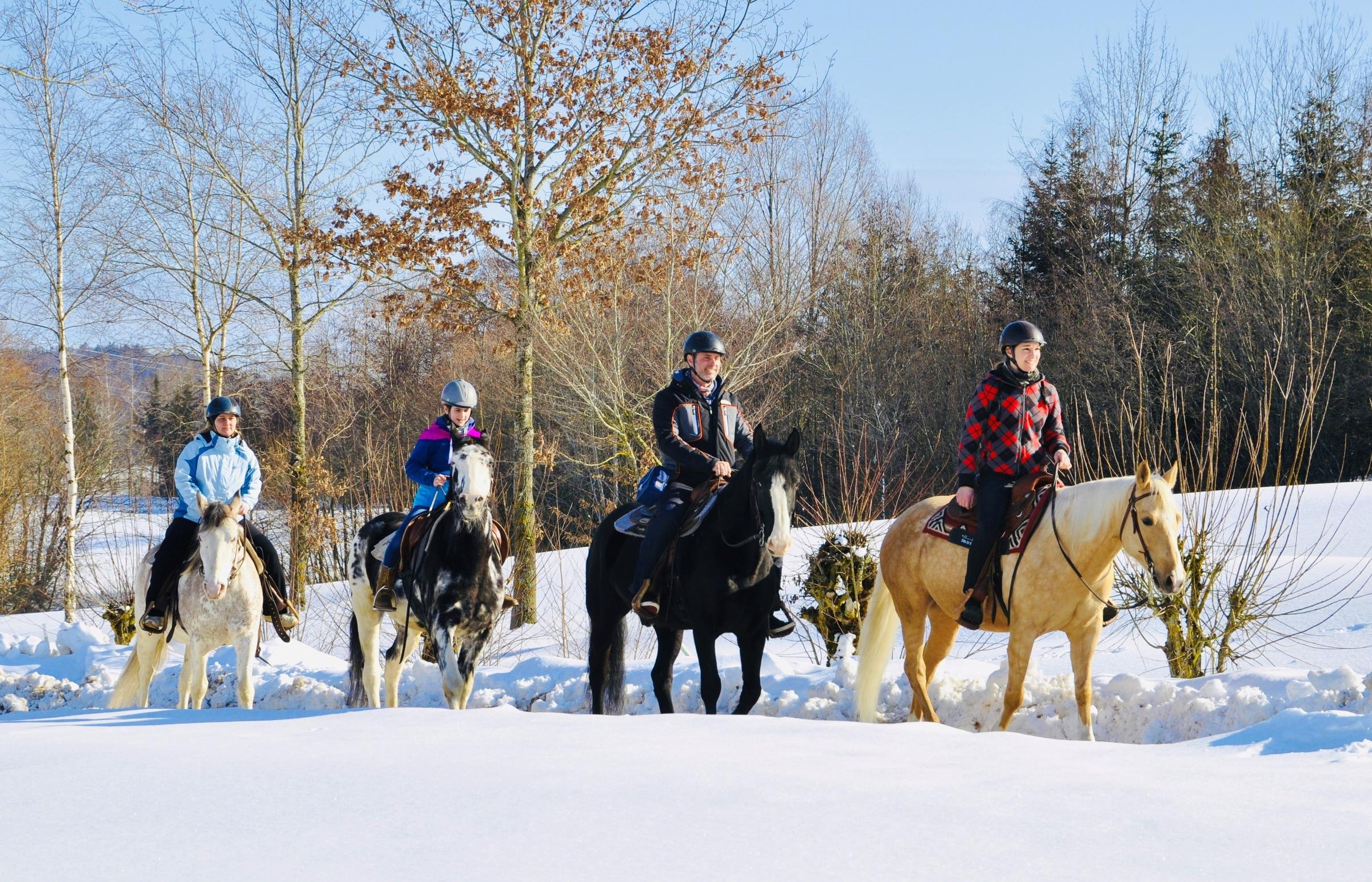 Vier Kinder reiten auf Pferden im Schnee, umgeben von Winterlandschaft und Bäumen