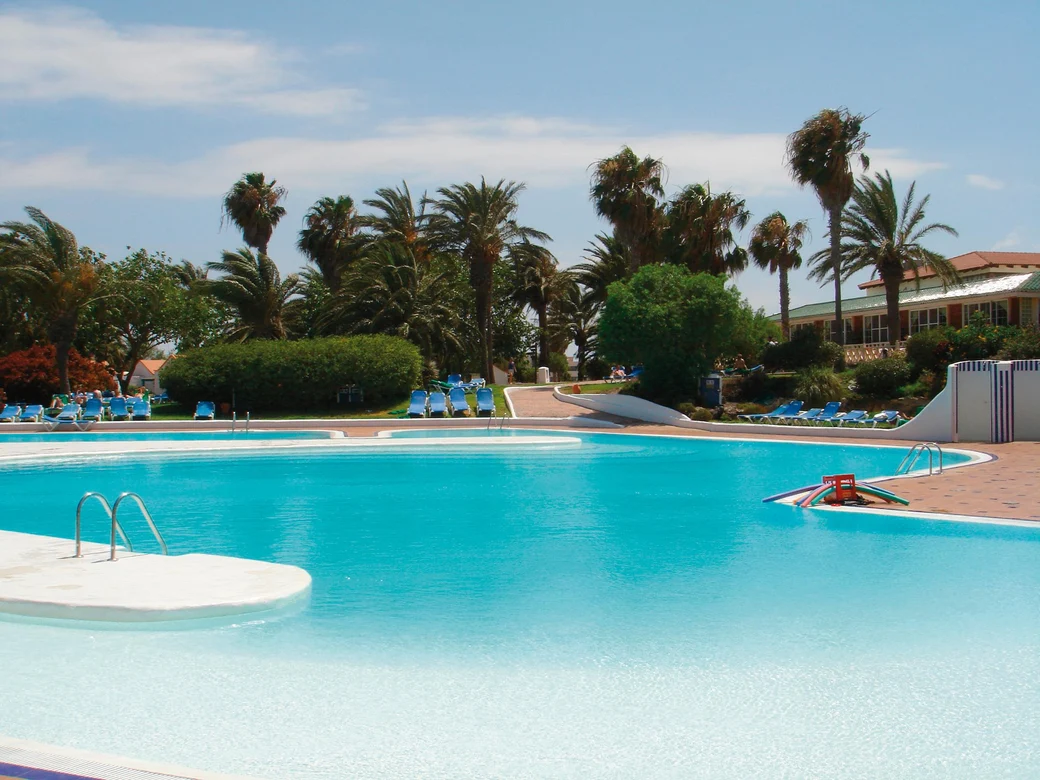 Poolbereich mit Palmen 