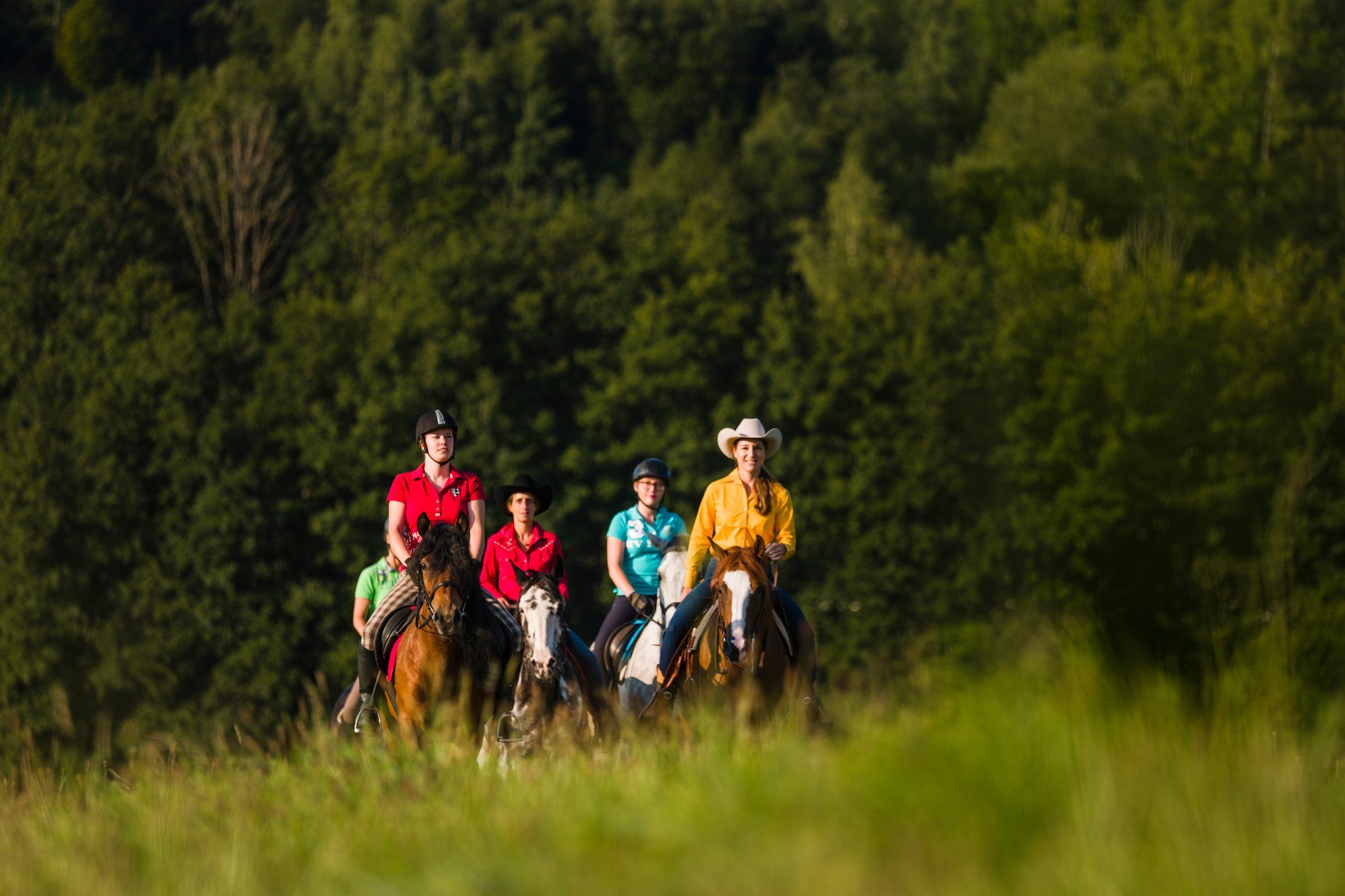 Vier Kinder beim Reiten in grüner Landschaft bei Aldiana, Premium Cluburlaub.