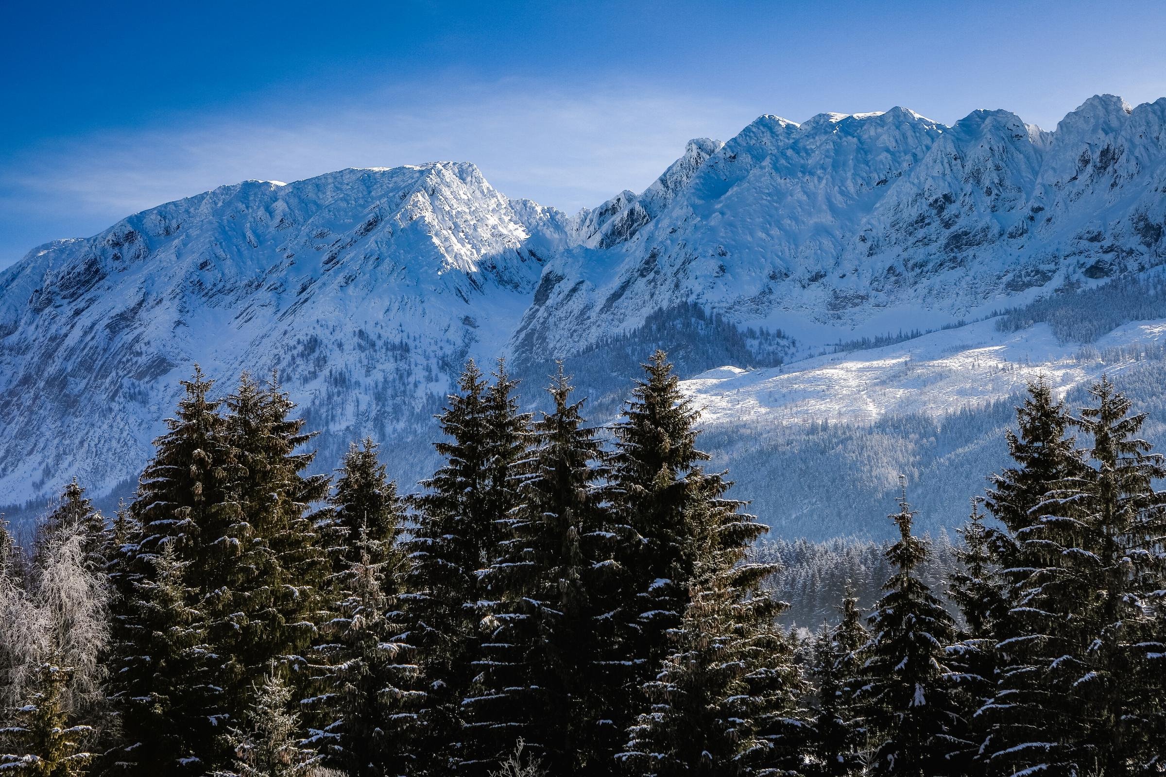 Eine Winterlandschaft mit Schneebedeckten Bergen und Tannenbäumen, ideal für einen Premium Cluburlaub