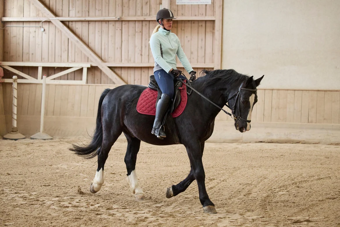 Reitstunden in der Reithalle direkt am Clubgelände