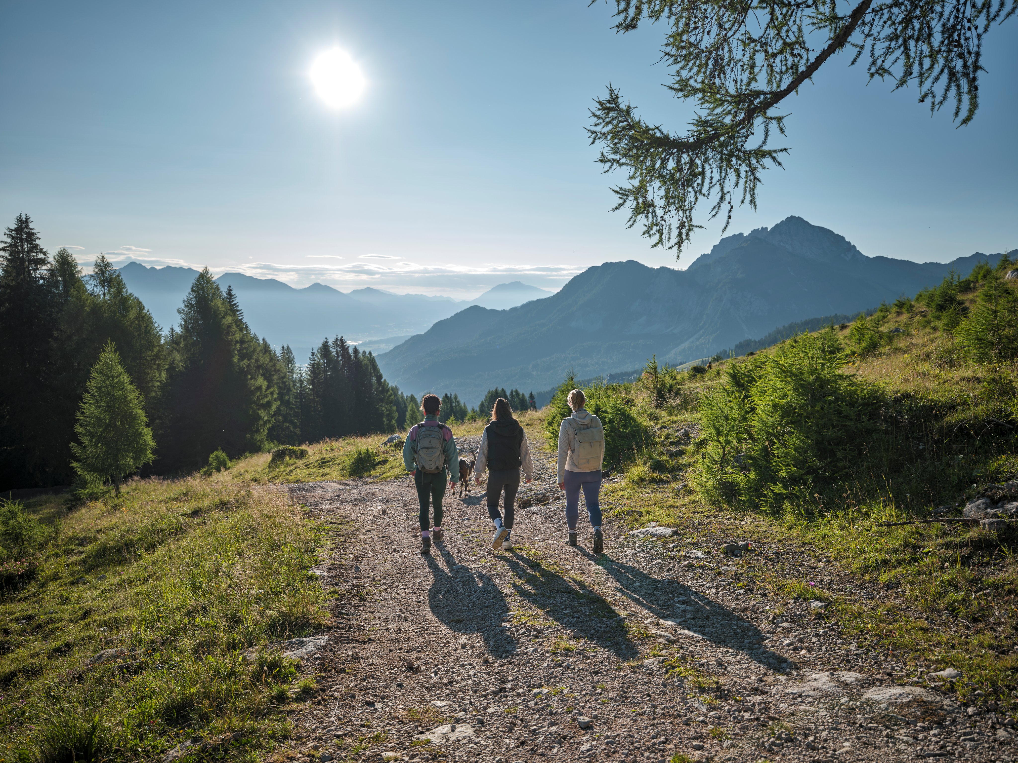 Drei Erwachsene wandern in den Bergen bei Sonnenlicht auf Naturweg, idyllische Landschaft