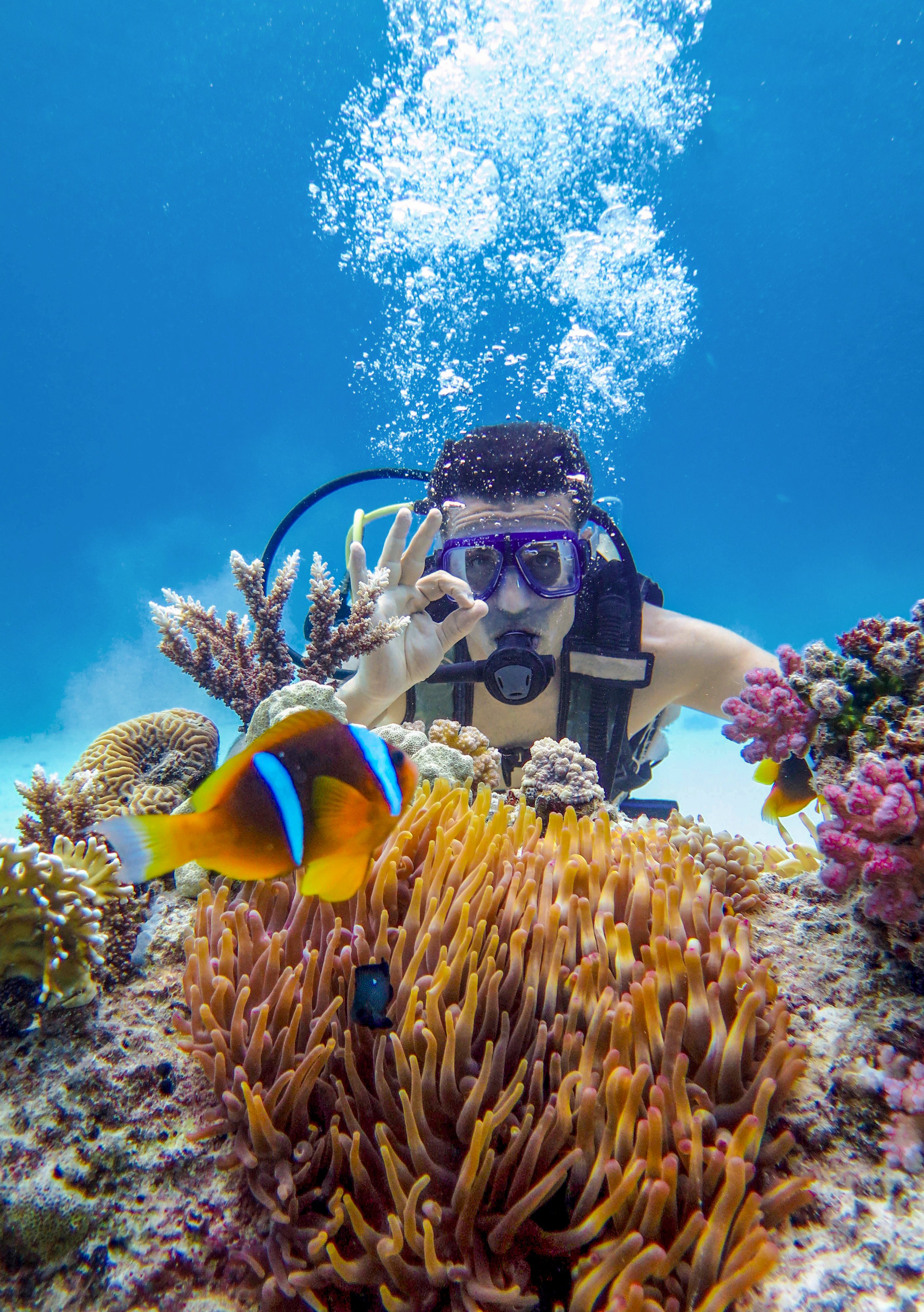 Ein Taucher unter Wasser vor bunten Korallen und Fische, zeigt das OK-Signal.