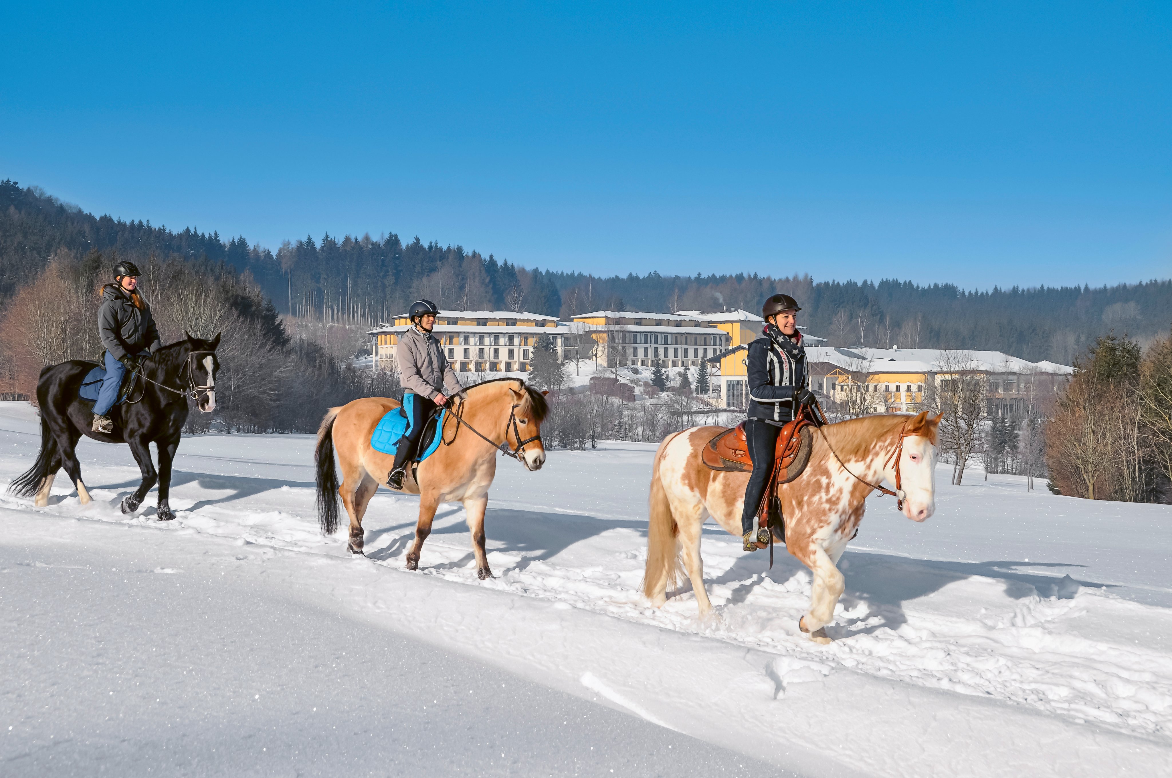 Reiter auf Pferden im Schnee vor einem Hotel, entspannter Ausflug bei Aldiana.