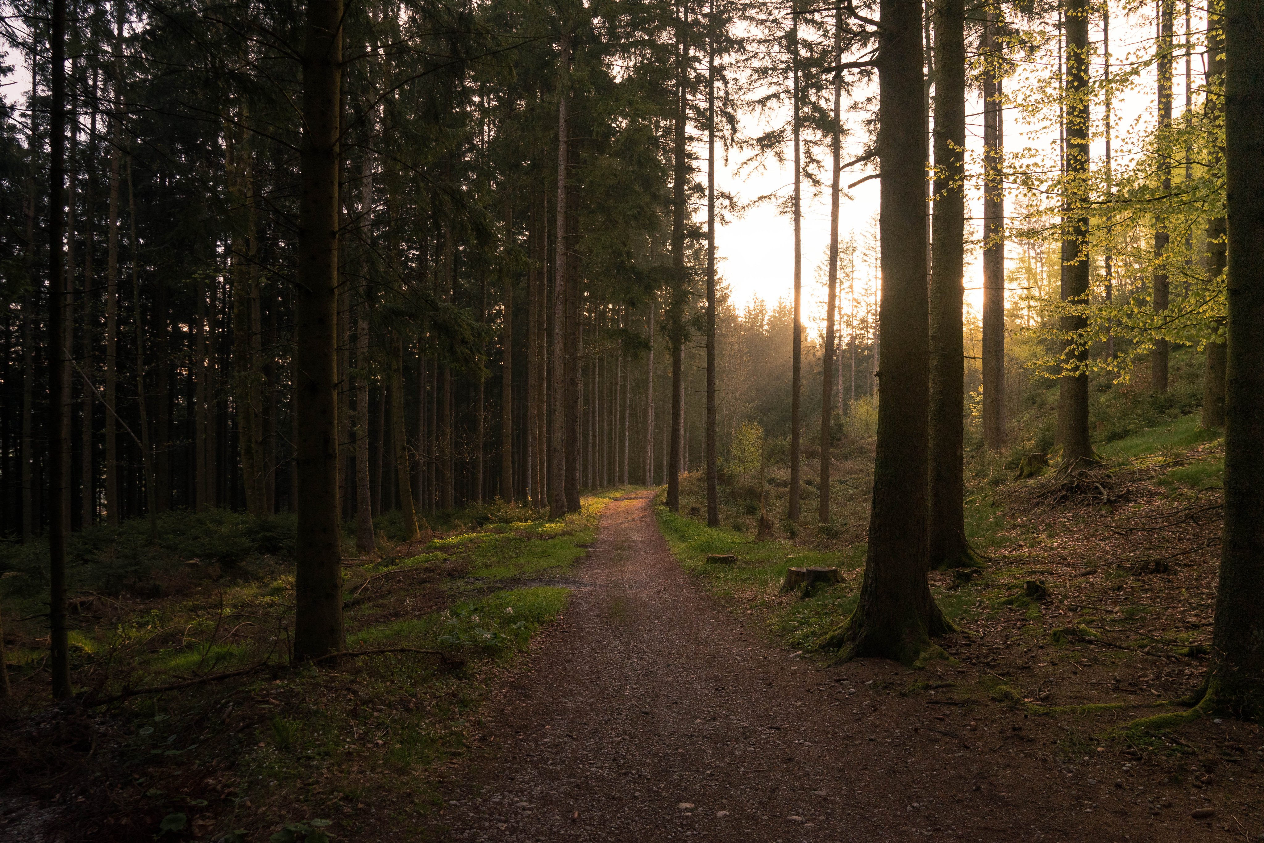 Luxuriöser Aldiana Premium Cluburlaub im eleganten Resort mit Meerblick
