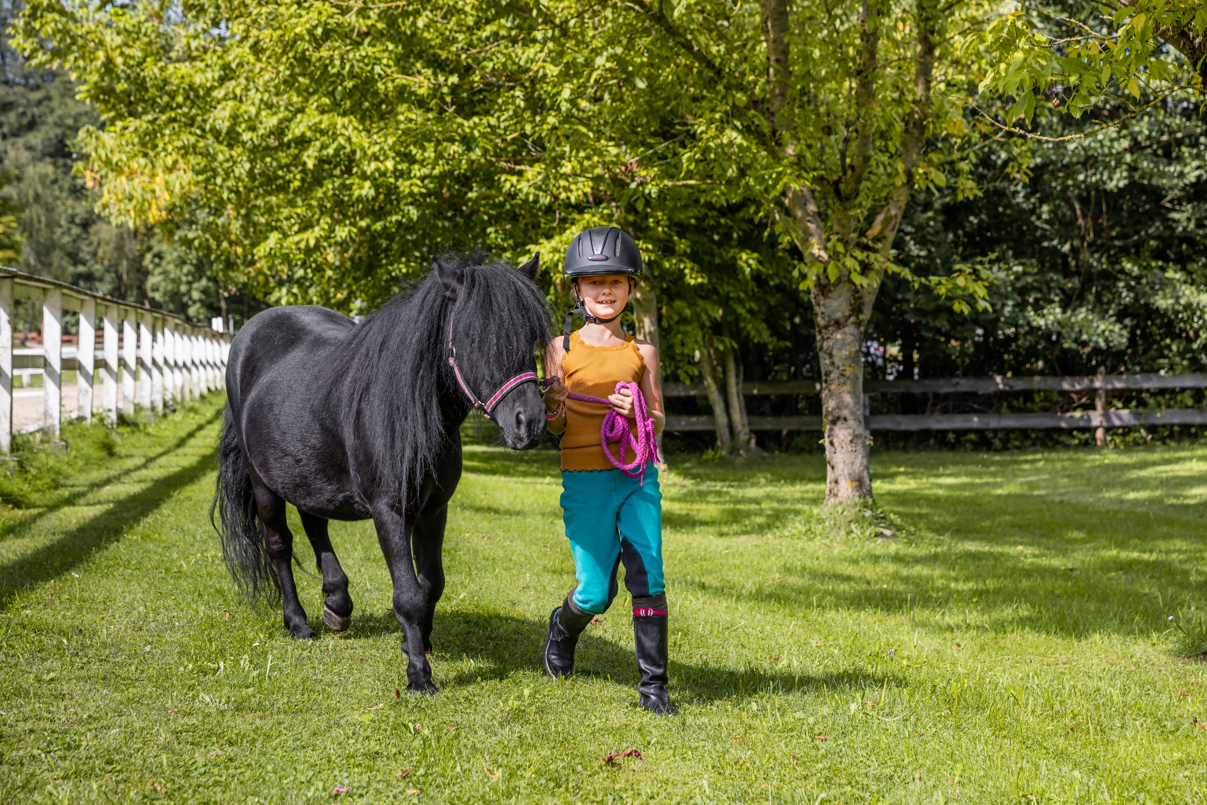 Ein Kind mit Schutzhelm führt einen schwarzen Pony über grünen Rasen in einer grünen Parklandschaft