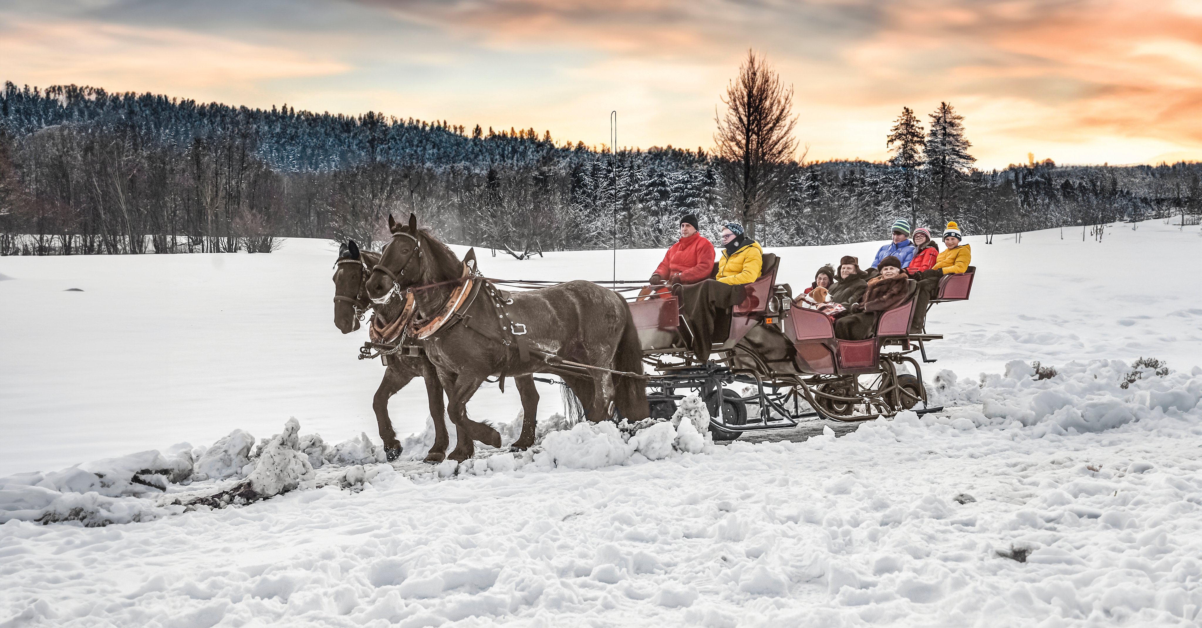 Schneeschlittenfahrt im Winter bei Aldiana, Premium Cluburlaub in verschneiter Natur