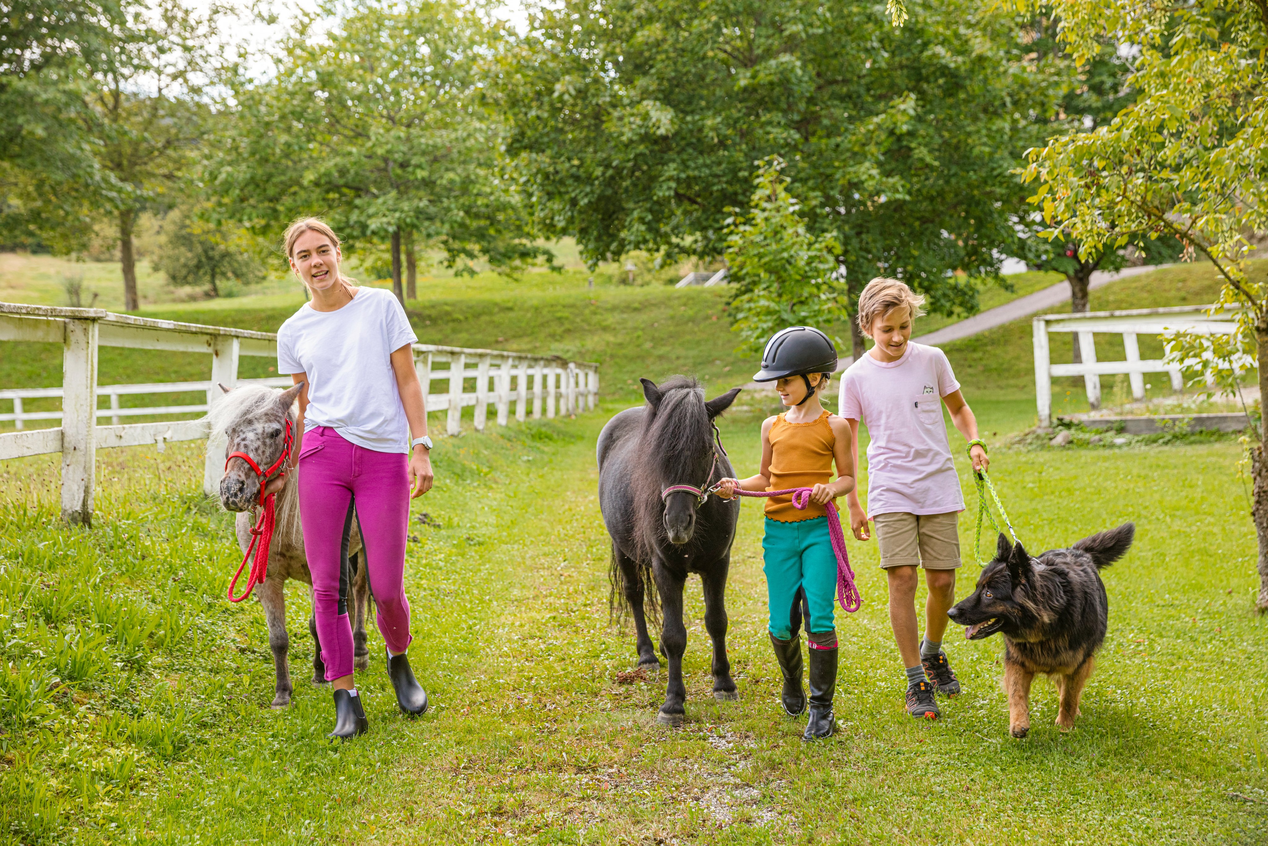 Zwei Kinder, eine Erwachsene und zwei Hunde beim Spaziergang mit Pferden in grüner Natur