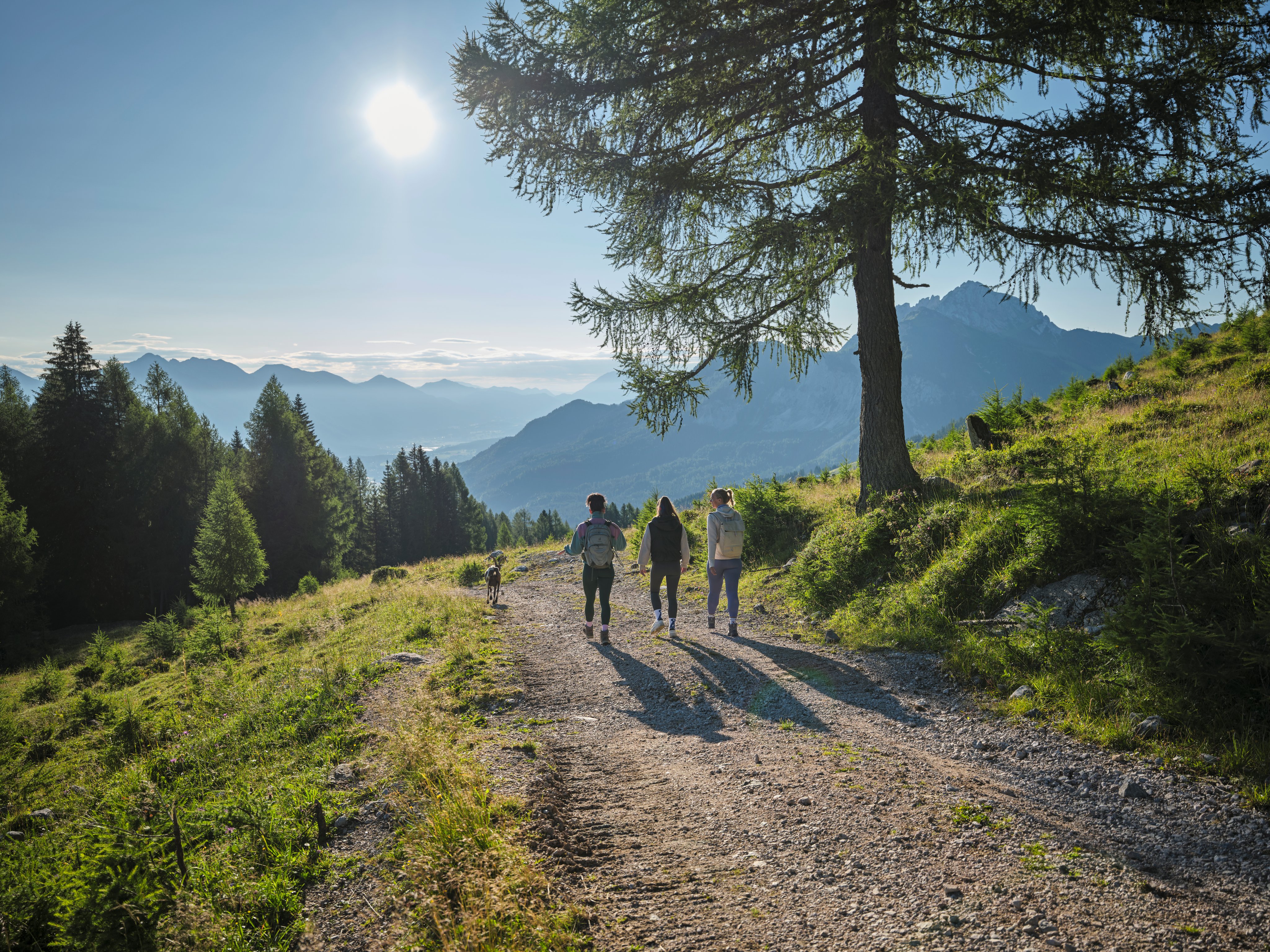 Wandergruppe auf Bergpfad im Grünen mit Blick auf Berge, Sonne und Himmel