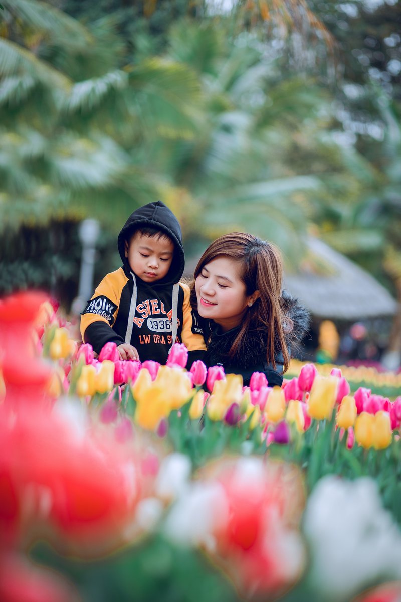pexels-tuấn-kiệt-jr-1765412