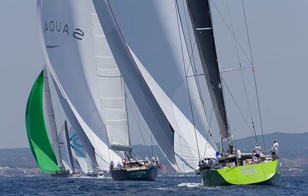 axopar-palma-image-2