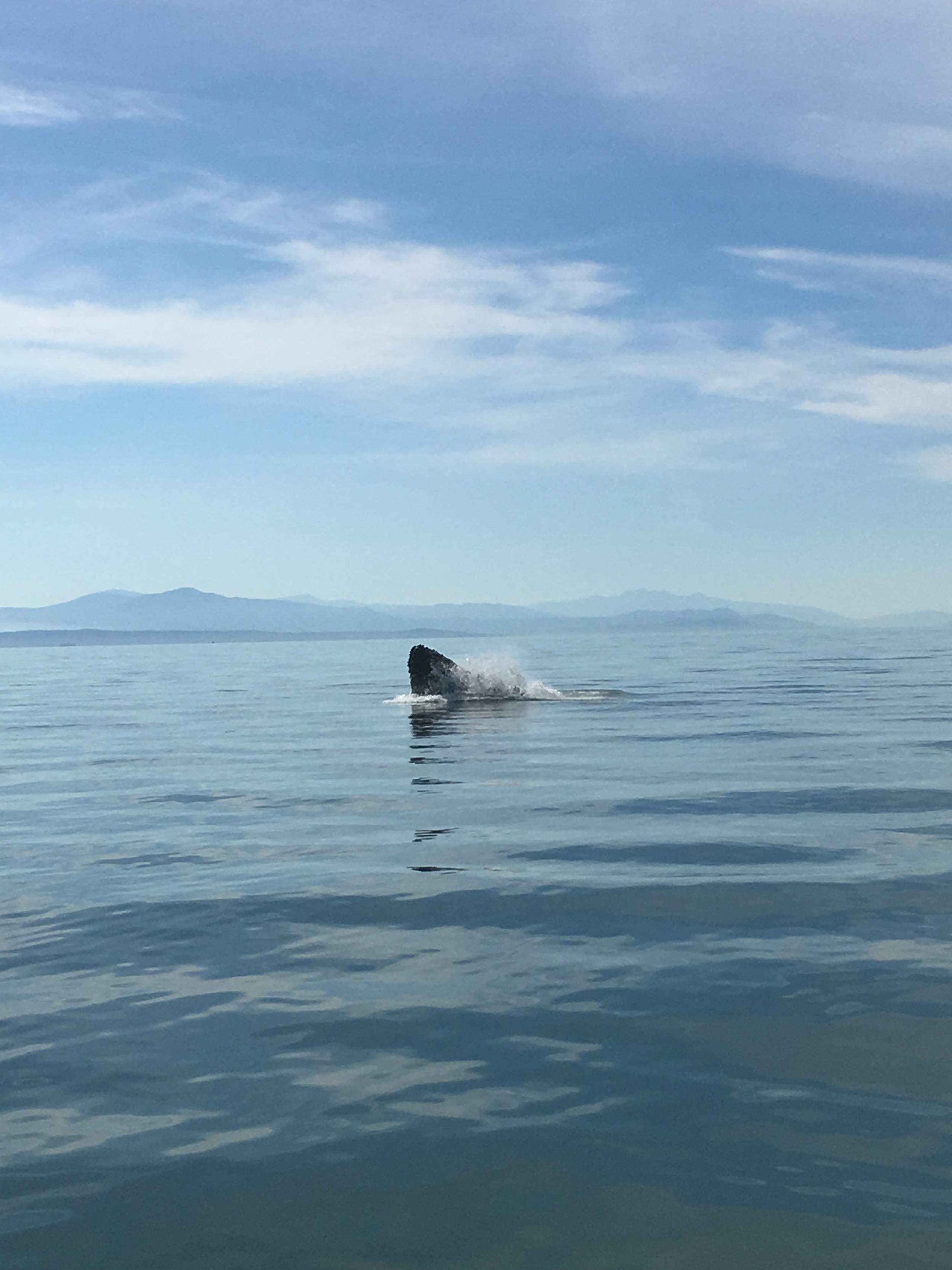 Klaus Priebe Axopar 37 Cabin owner P1020434 (1)