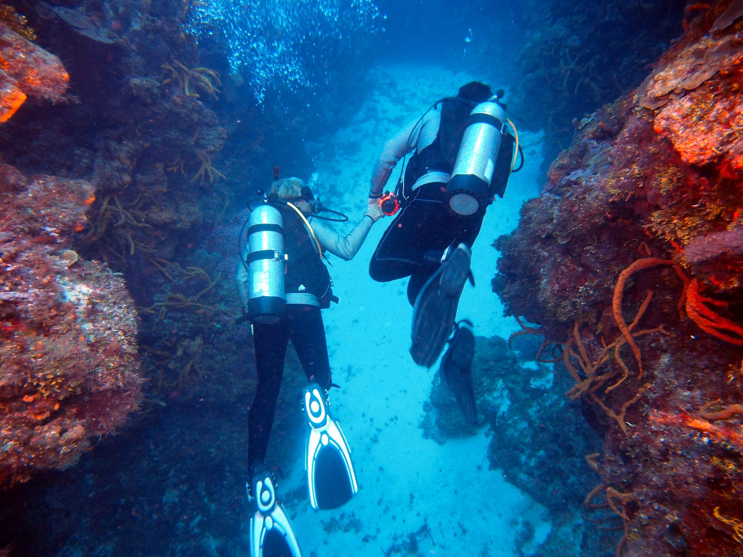 Diving photo