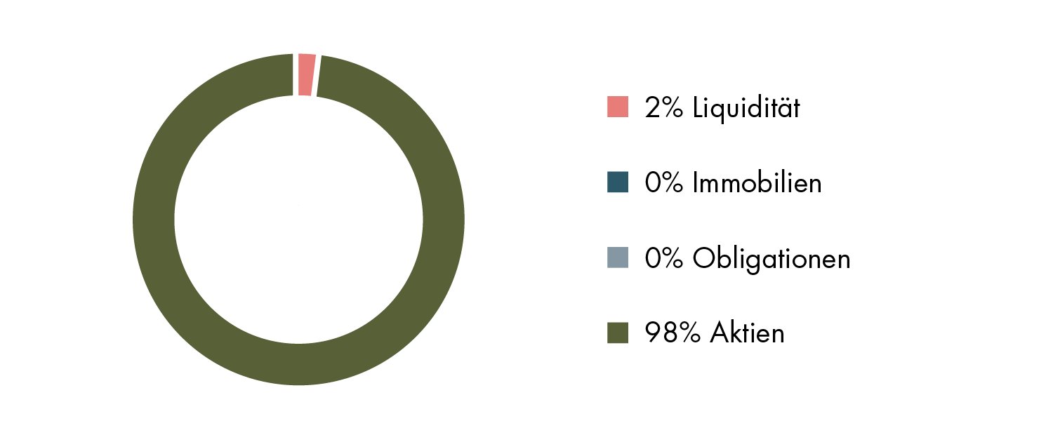 Konzepte der Portfolioverteilung: 98% Aktien, 2% Liquidität, 0% Immobilien, 0% Anleihen