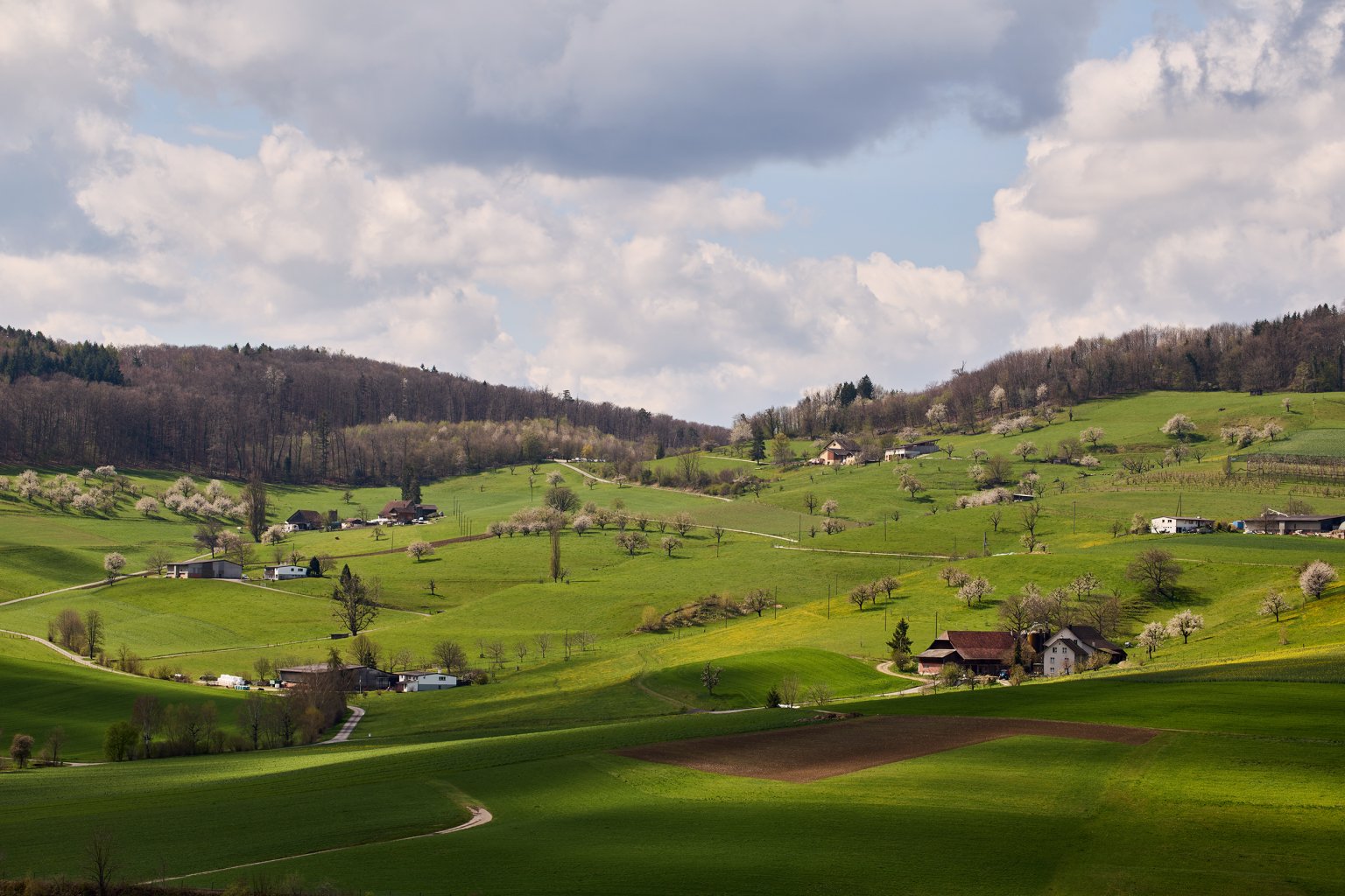Grüne Landschaft mit sanften Hügeln, verstreuten Höfen und bewölktem Himmel.