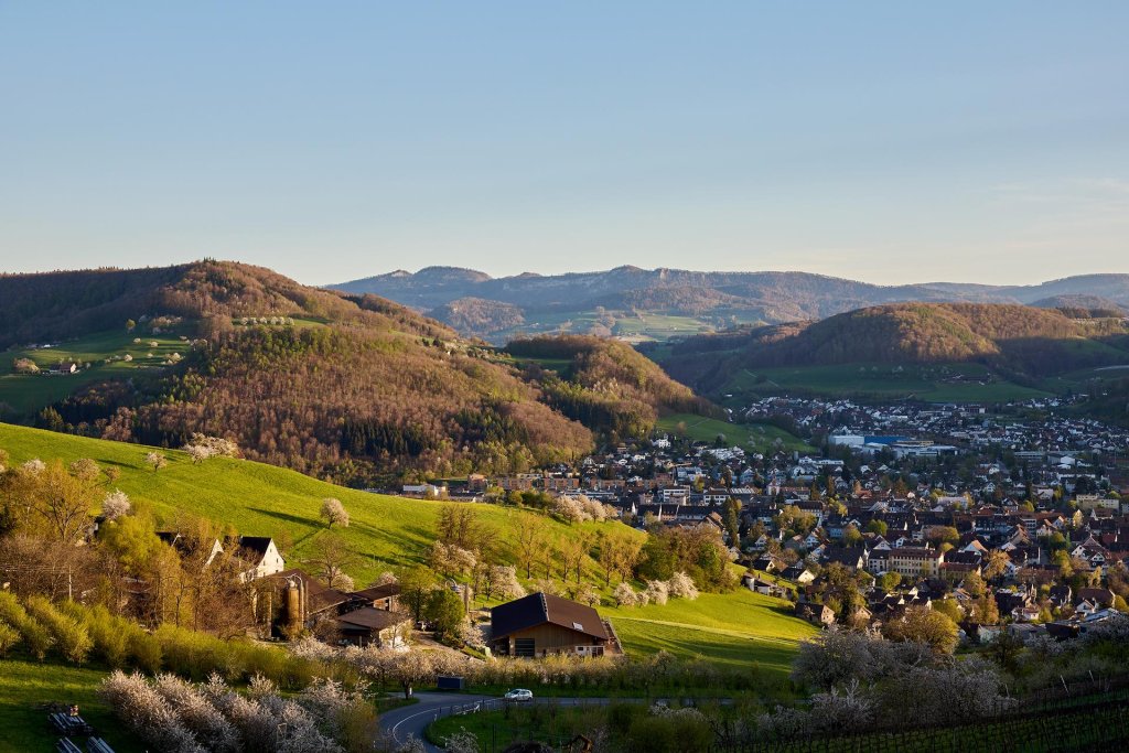Landschaft mit Hügeln, Häusern und Bäumen in der Region Basel im Sonnenlicht.