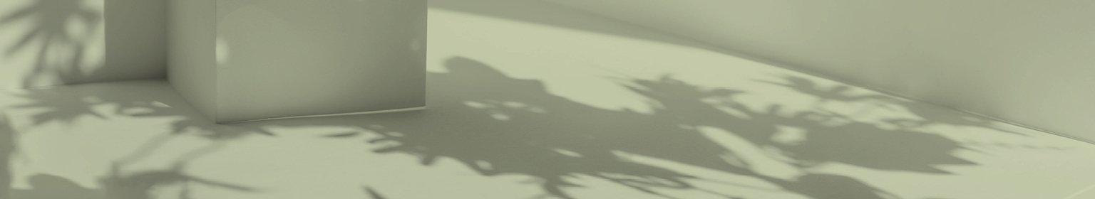 Ein sanfter Schattenwurf von Pflanzen auf einer hellen Fläche. Minimalistisch und beruhigend.