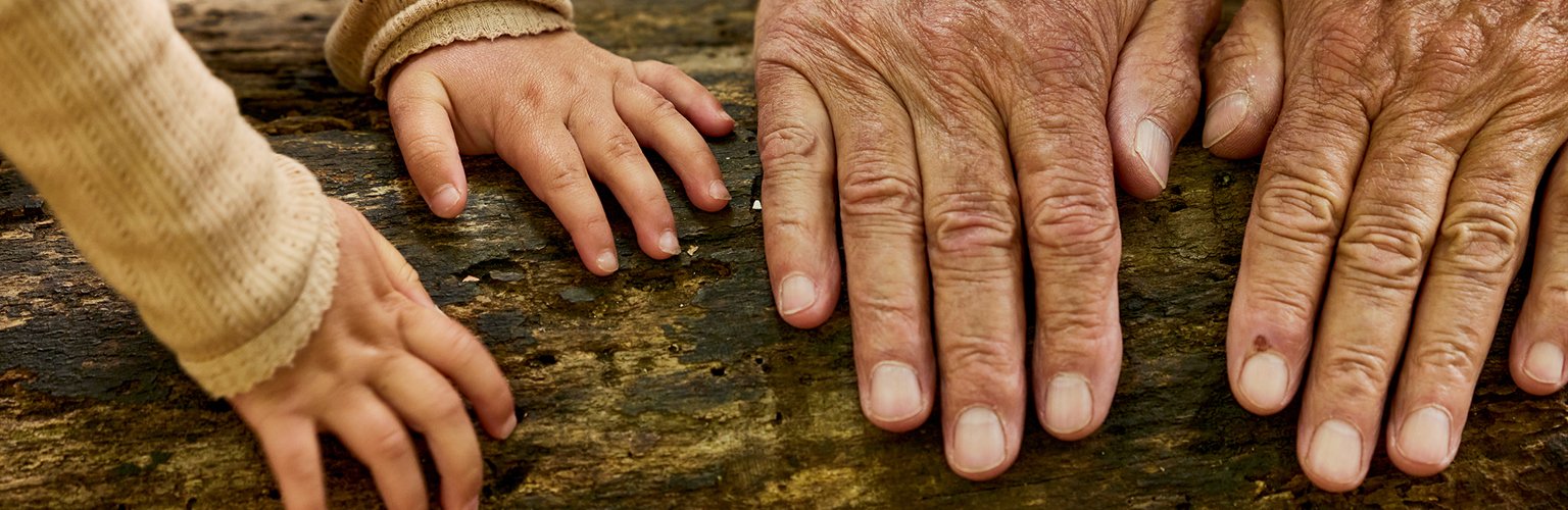 2 Hände von einem alten Mann und 2 Hände von einem kleinen Mädchen berühren den Baumstamm.