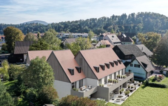 Einfamilienhäuser mit Garten an der Dorfstrasse in Zwingen.
