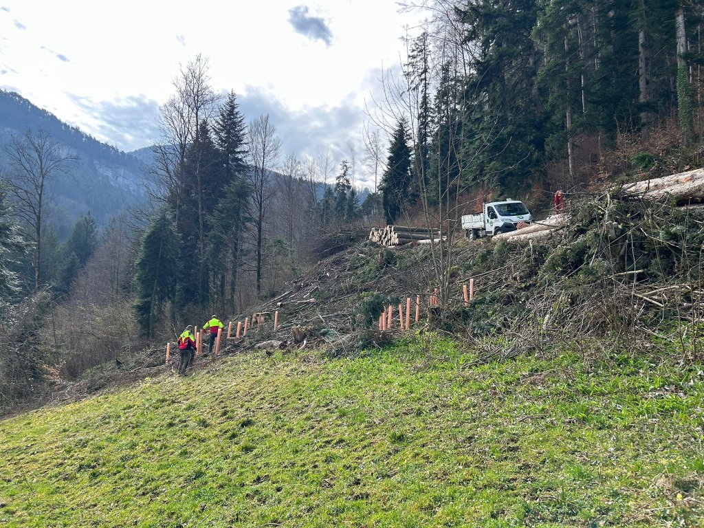 Landschaft mit Bäumen, Hang, Bauarbeiten und Fahrzeug auf Strasse in den Bergen bei der Parzelle am Schittelweg.