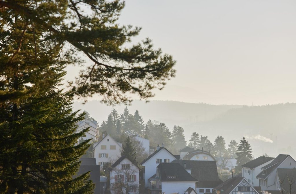 Häuser mit Wald und Nebel.