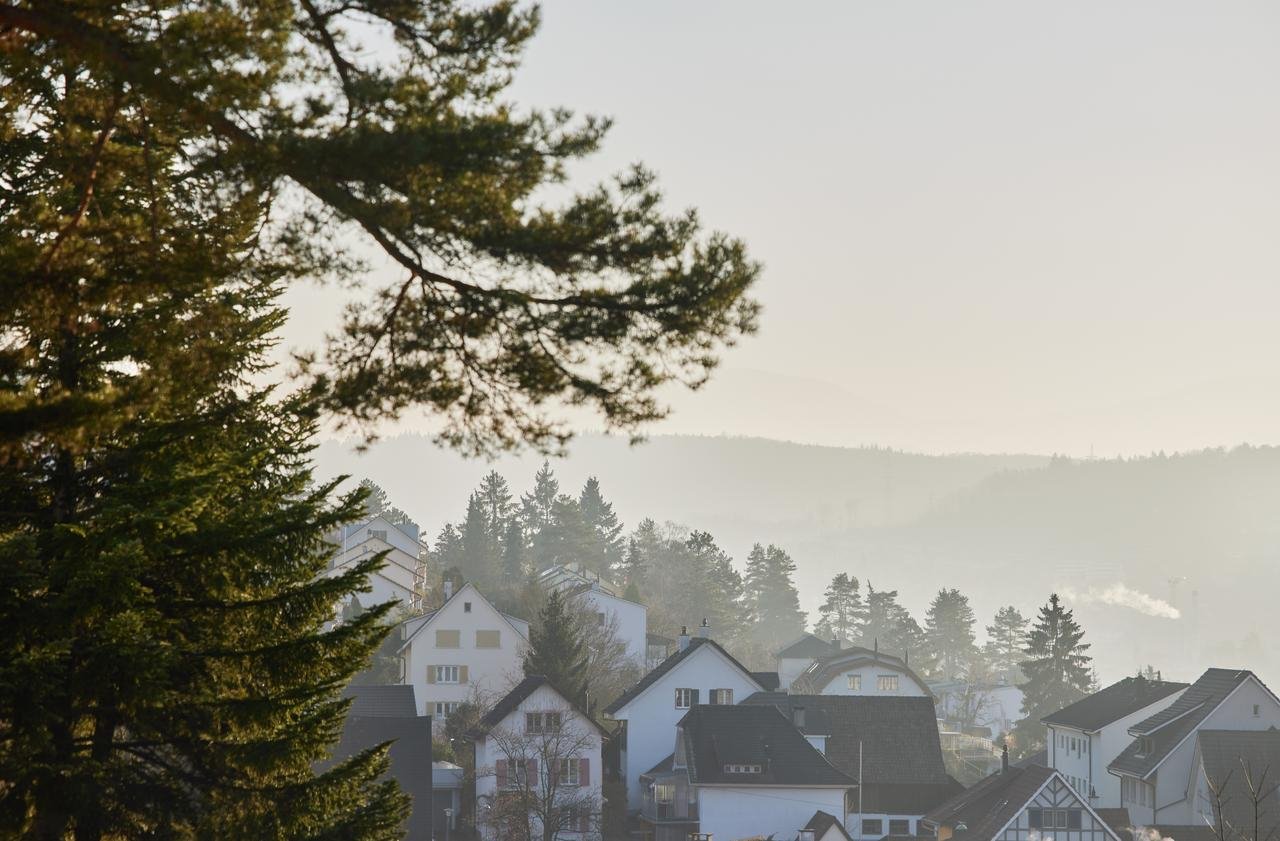 Häuser mit Wald und Nebel. aus dem Artikel Liegenschaftseigentümer können massgeblich zur Erreichung der Klimaziele 2050 beitragen