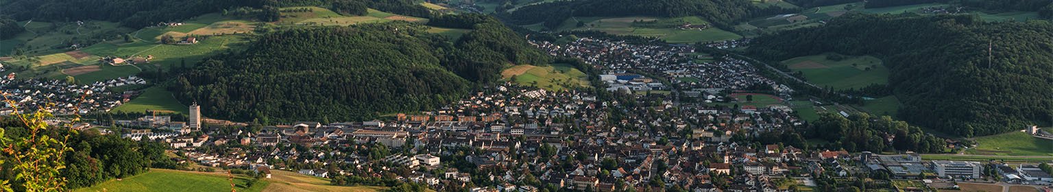 Panorama der attraktiven Umgebung der Basellandschaftlichen Kantonalbank in der Natur.
