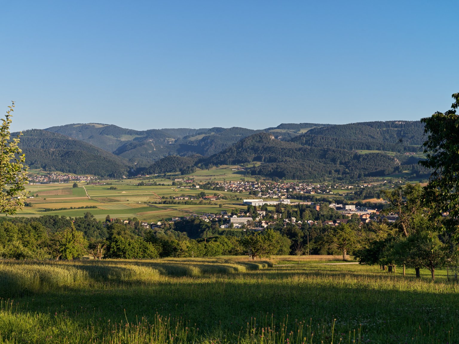 Eine malerische Aussicht auf eine ländliche Landschaft mit Feldern, Bäumen und fernen Bergen.