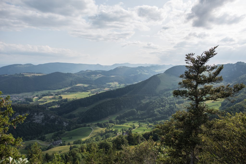 Ein weitläufiger Blick über die grünen Hügel und sanften Anhöhen des Baselland.