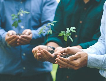 Menschen halten kleine Pflanzen in ihren Händen, Symbol für Nachhaltigkeit und Zukunft. aus dem Artikel Umweltschutz verbessern – KMU sind ein wichtiger Teil der Lösung