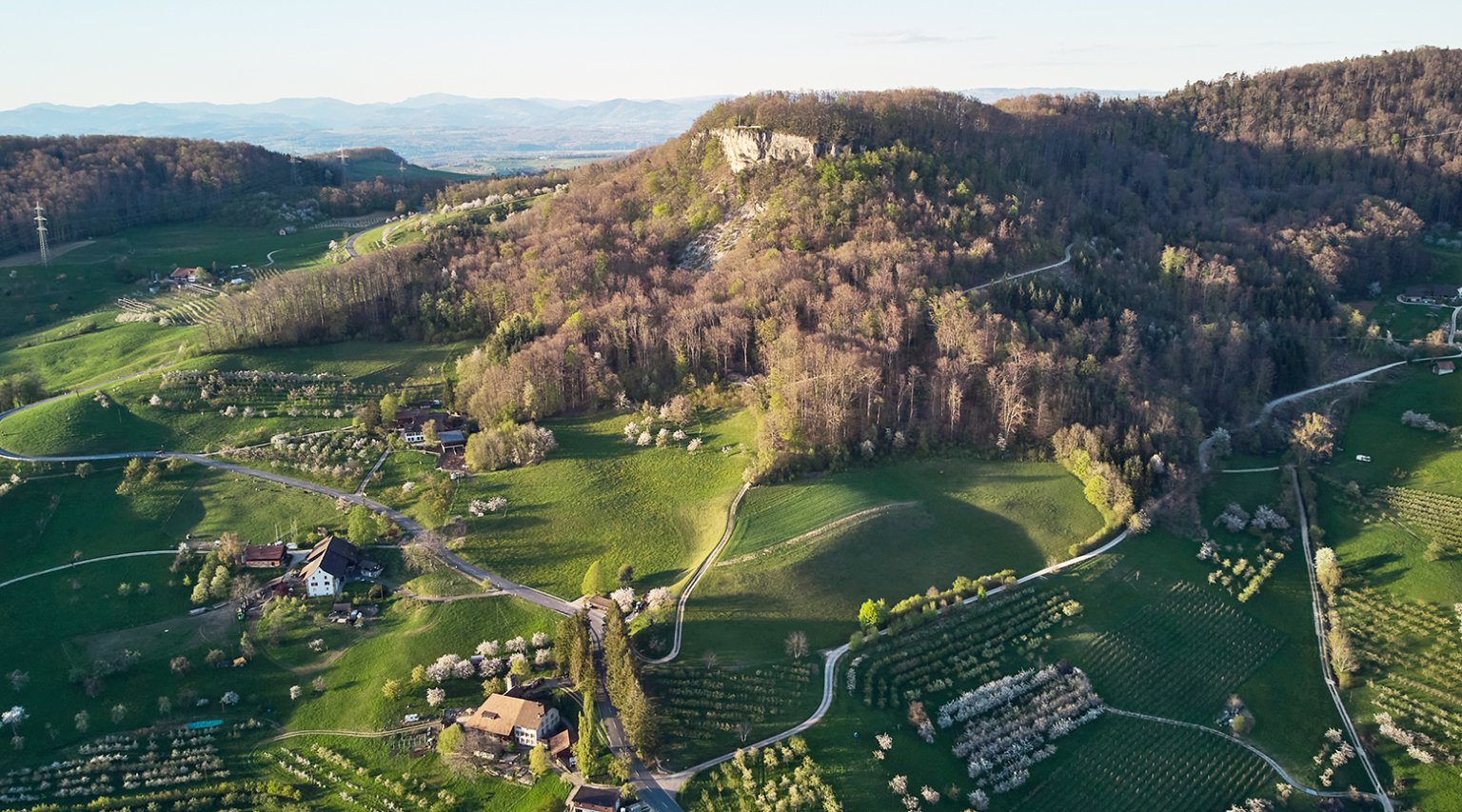 Ein malerischer Blick auf die Basellandschaft mit sanften Hügeln und blühenden Obstbäumen.