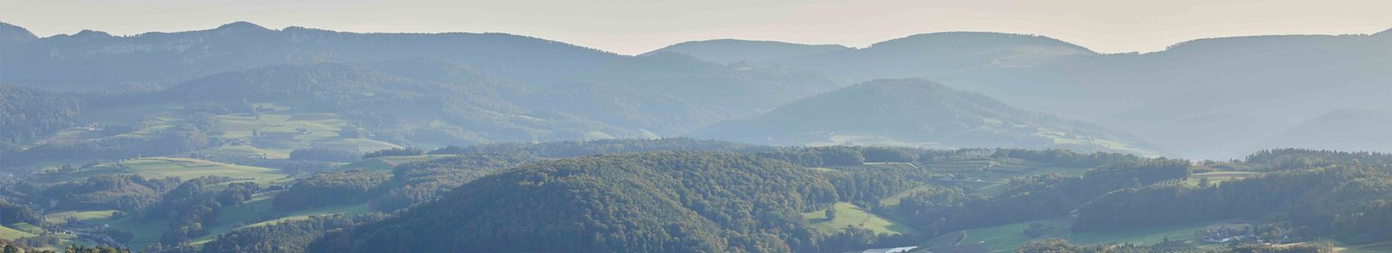 Landschaftsaufnahme mit sanften Hügeln und grünen Wäldern.
