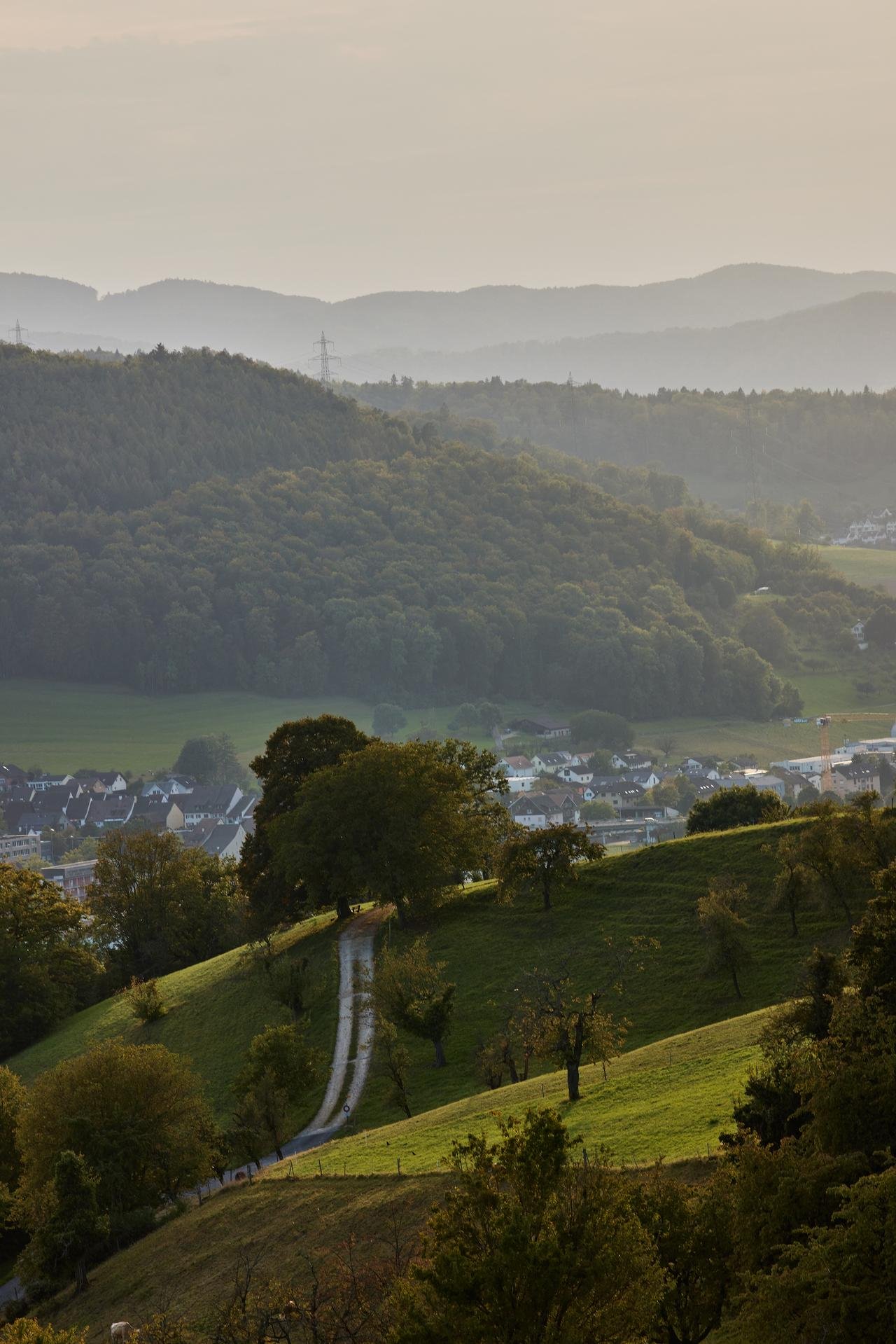 Eine ruhige Landschaft mit sanften Hügeln und bewaldeten Gebieten in der Ferne.