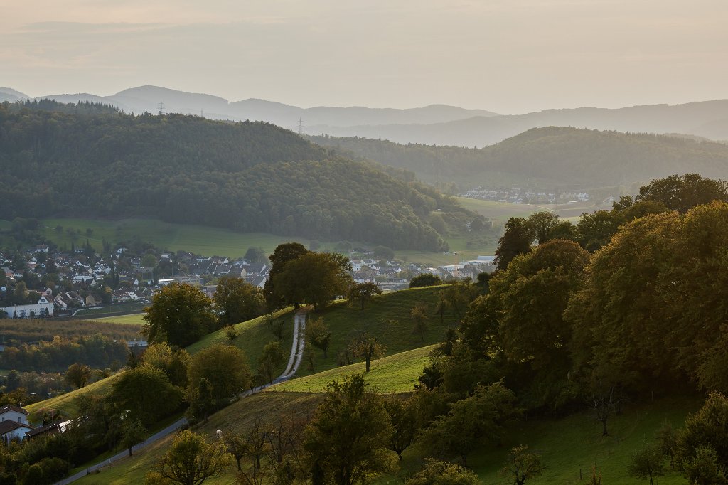 Panoramablick über die sanfte Hügellandschaft der Region Basel.