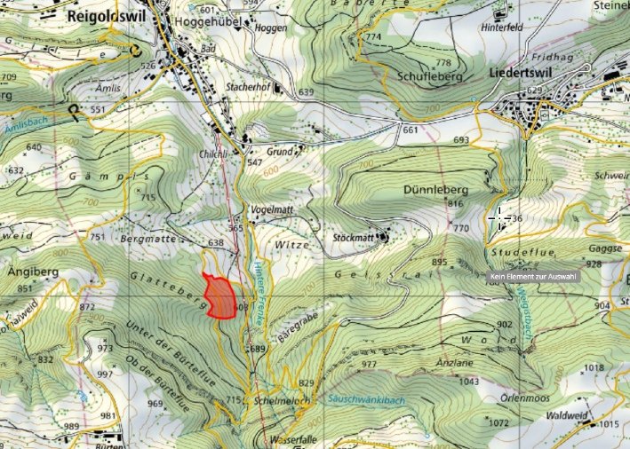 Karte mit den Koordinaten von Reigoldswil