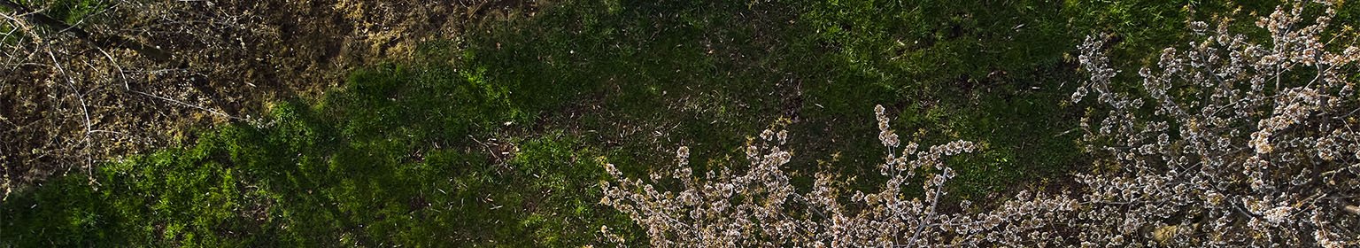 Ein Blick auf die Natur und Nachhaltigkeit der Basellandschaftlichen Kantonalbank (BLKB).