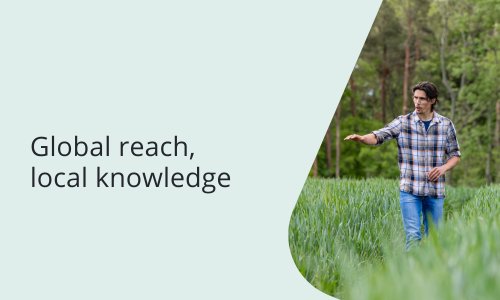 Global reach, local knowledge