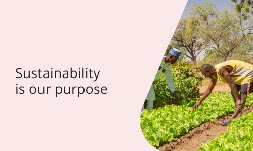 Sustainability is our purpose