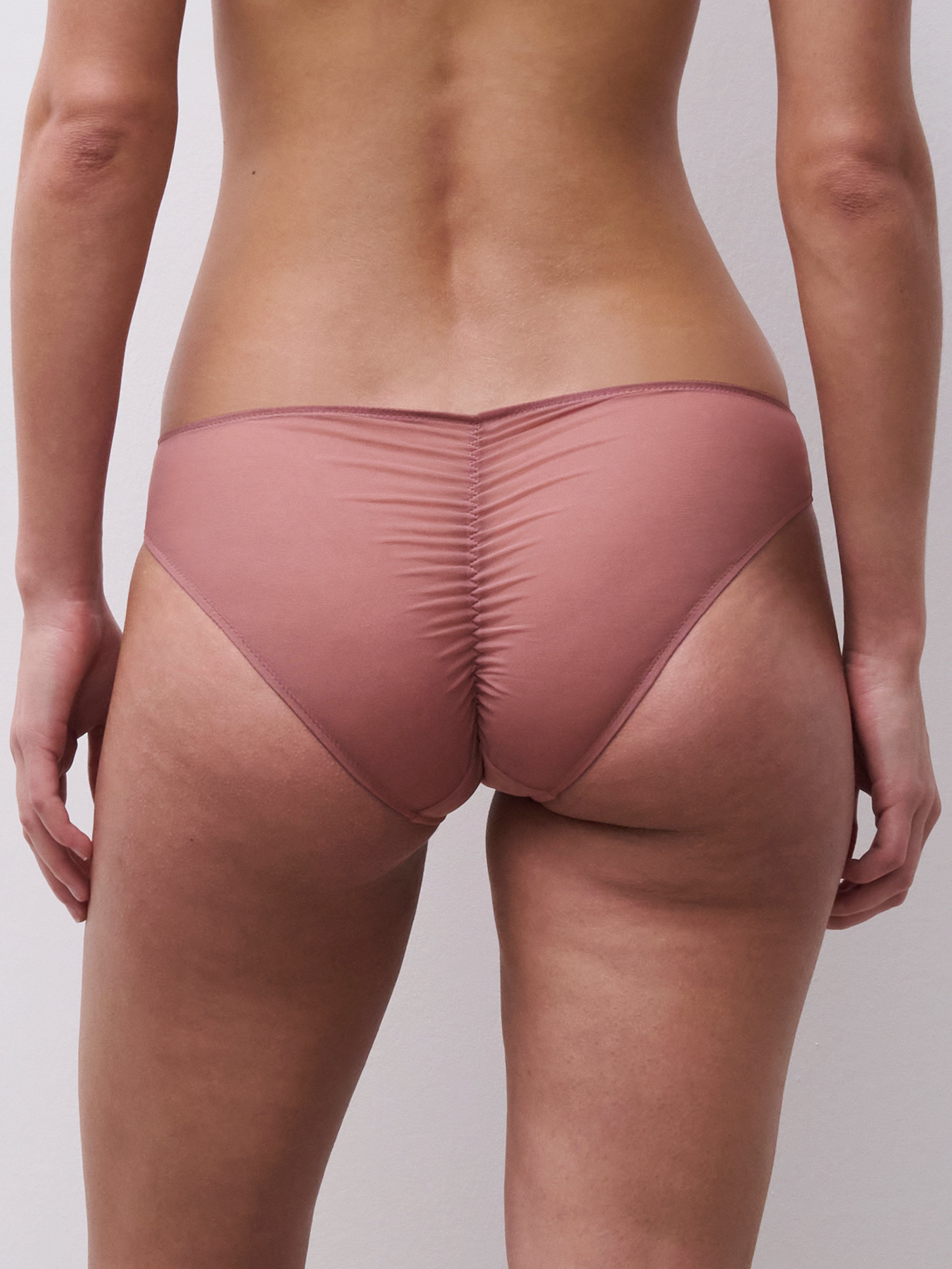 Brief