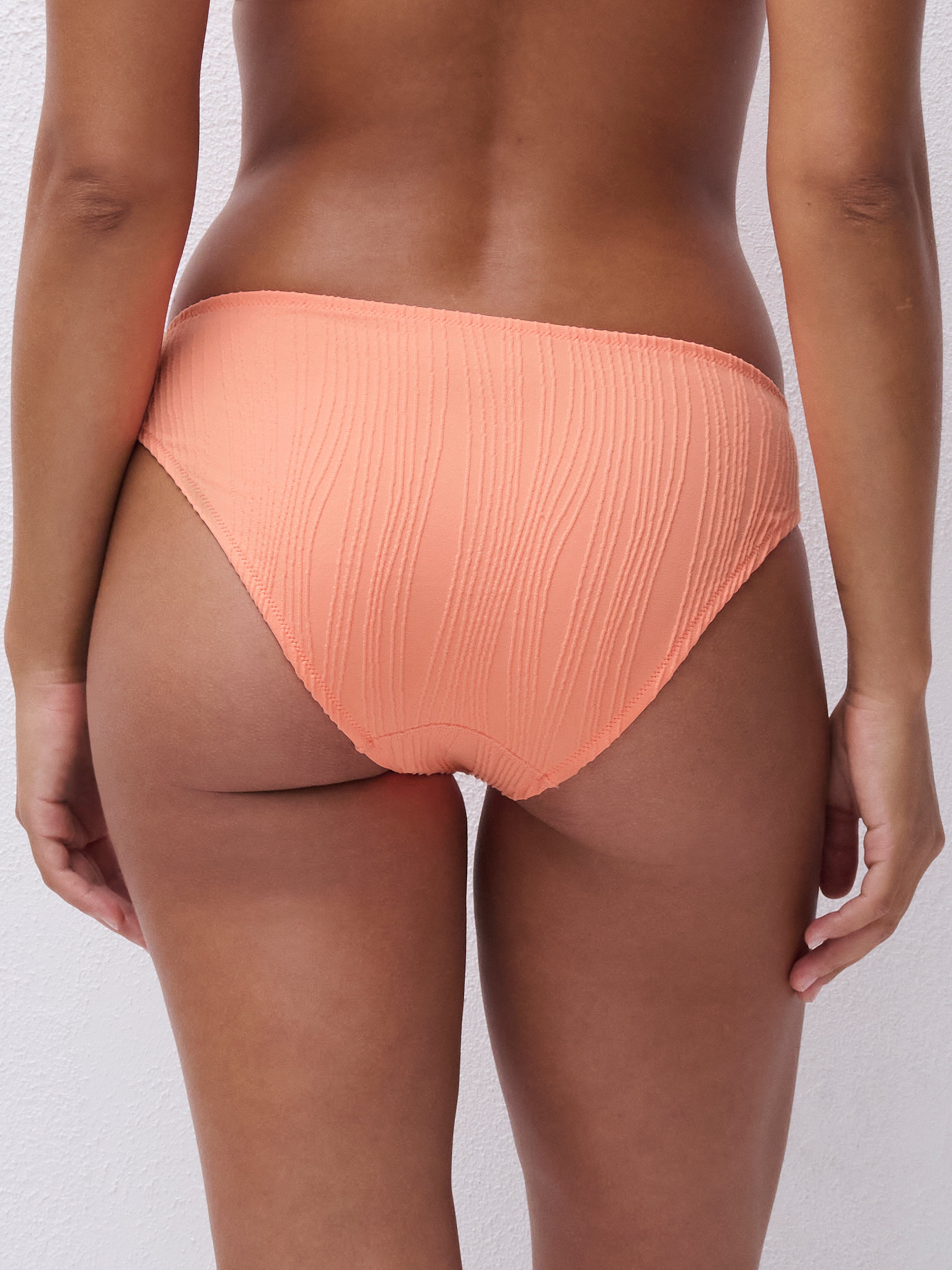 Brief bikini bottom