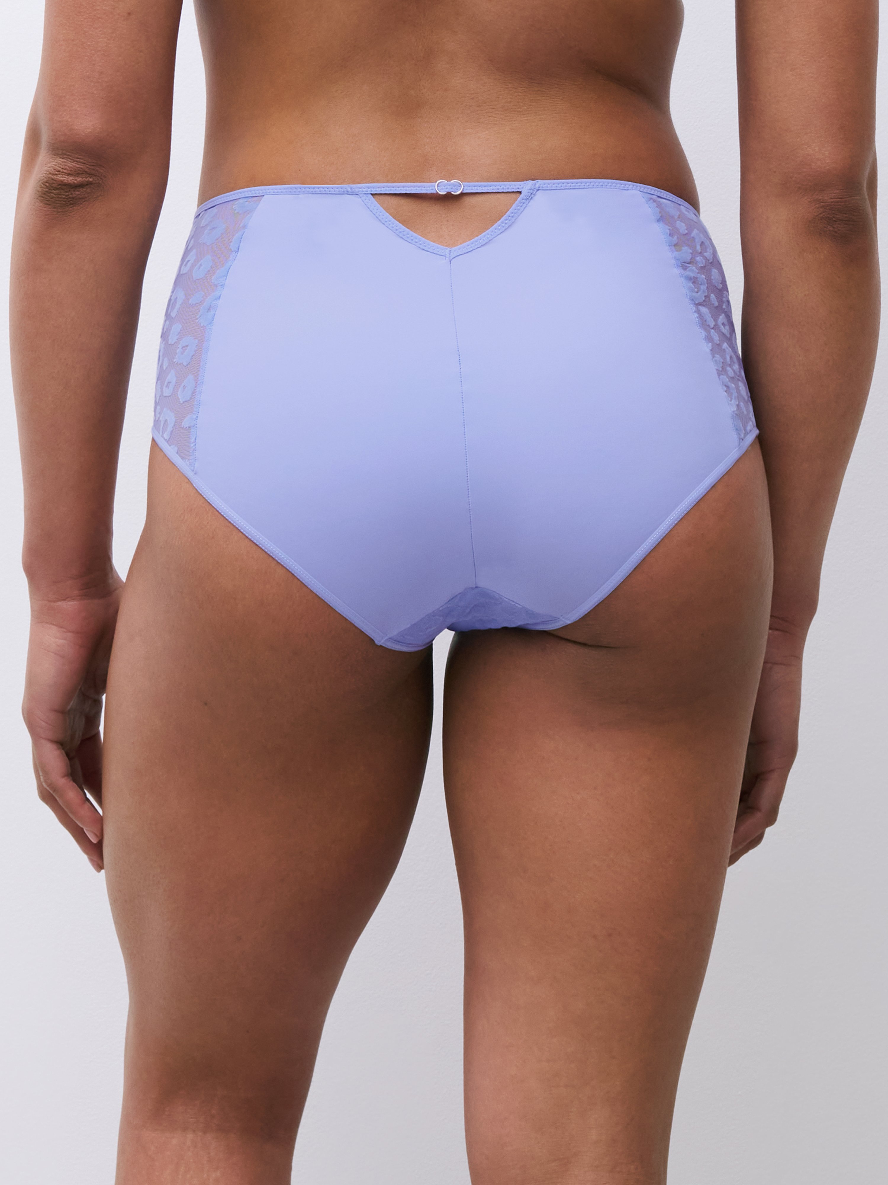 High-waisted brief
