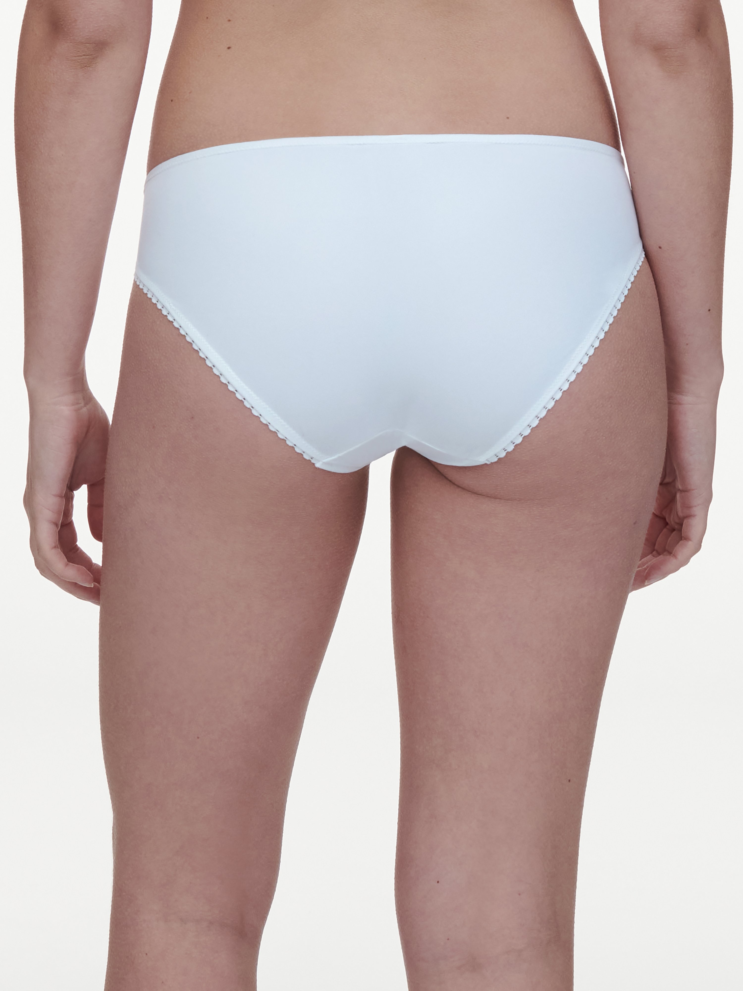 Brief