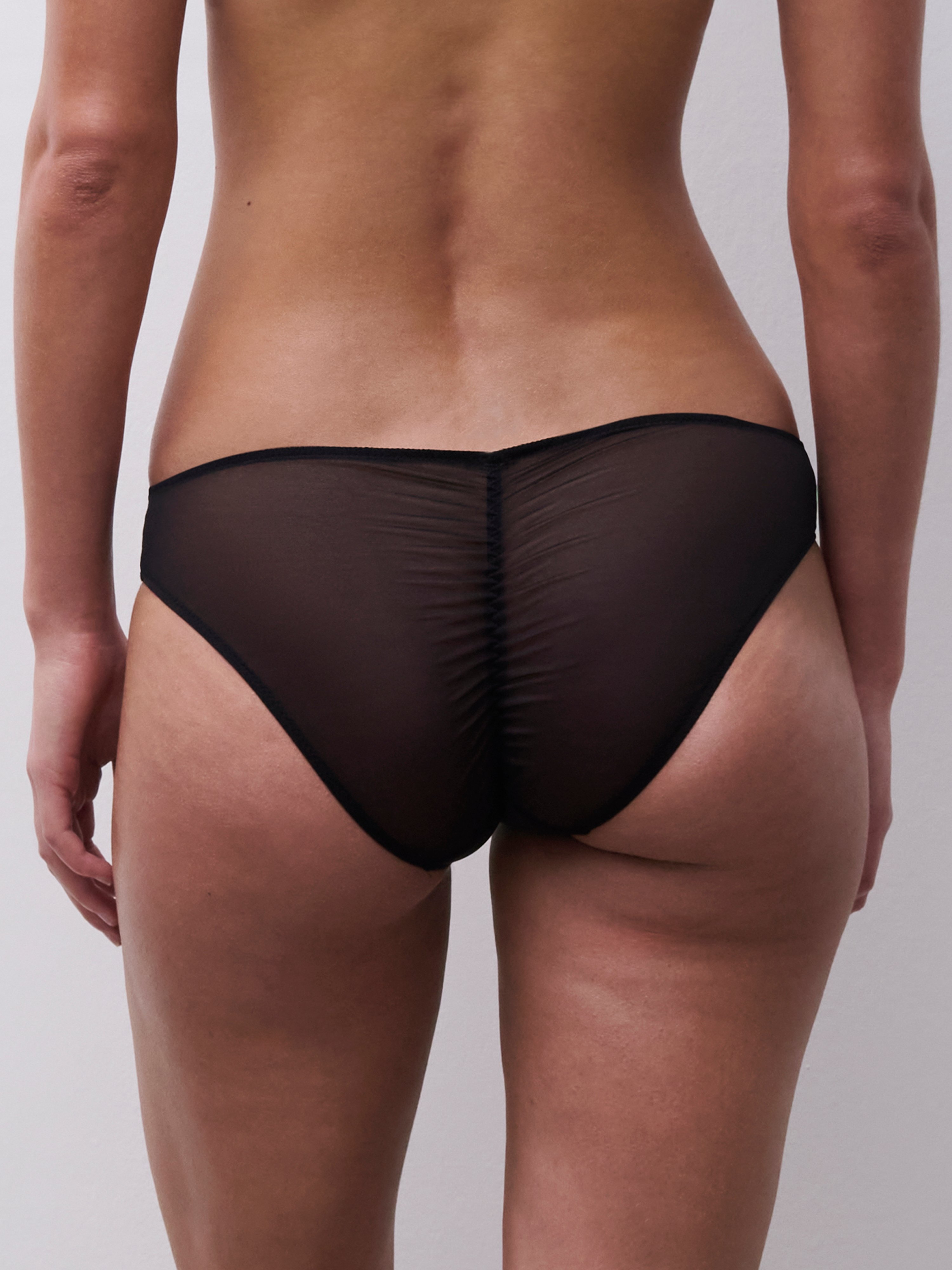 Brief