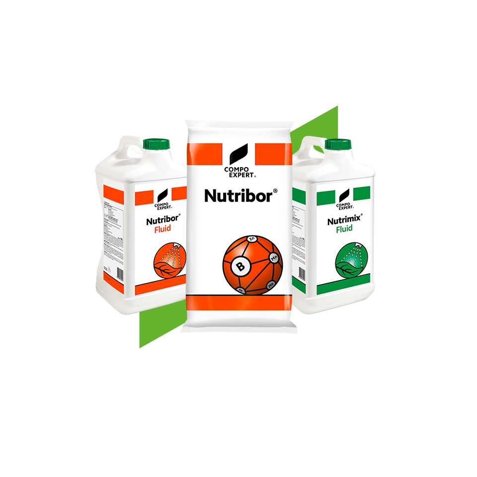 Micronutrient Fertilizers-Nutritrace Elements-DE