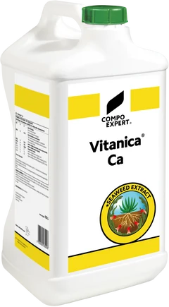 Vitanica Ca