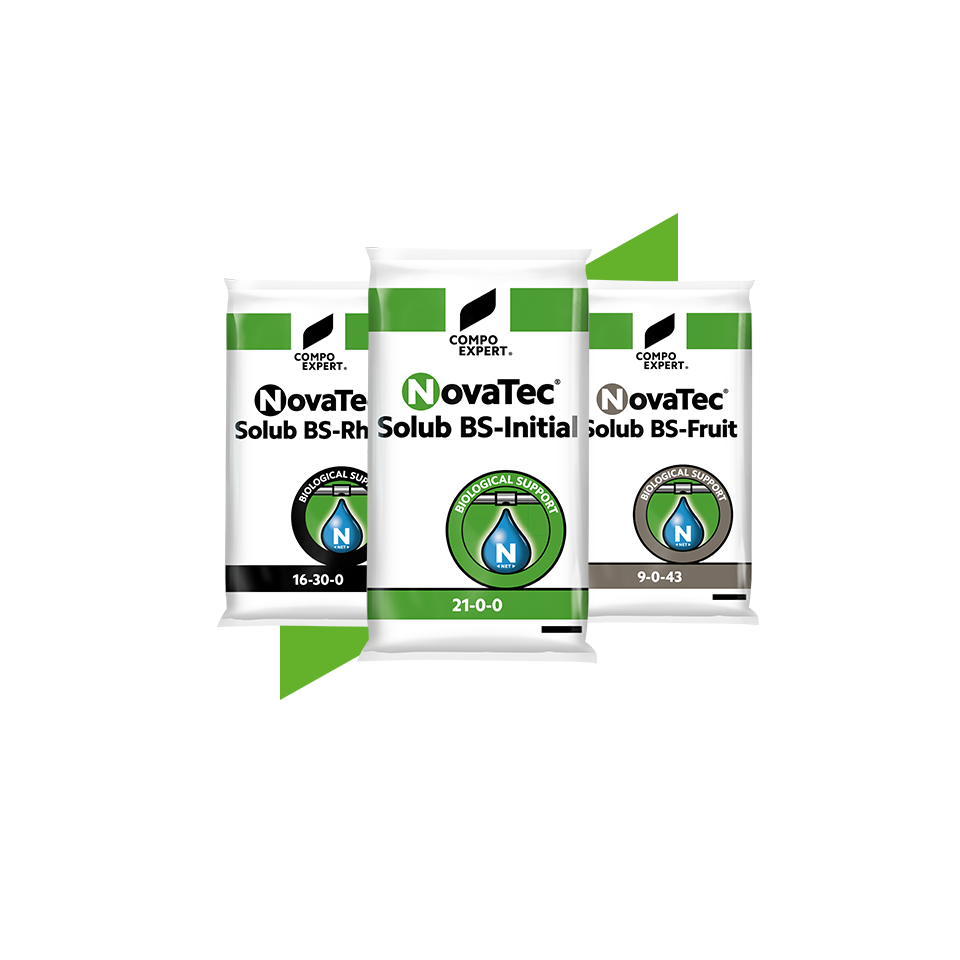 Water Soluble Fertilizers-Novatec Solub BS