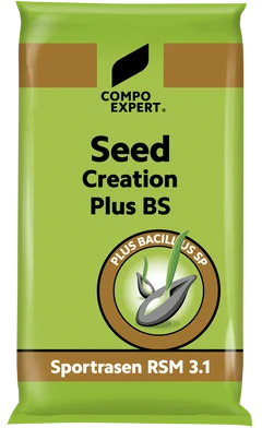 8019088-Seed Creation Plus BS